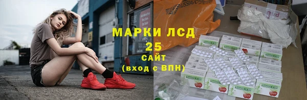 стаф Аркадак