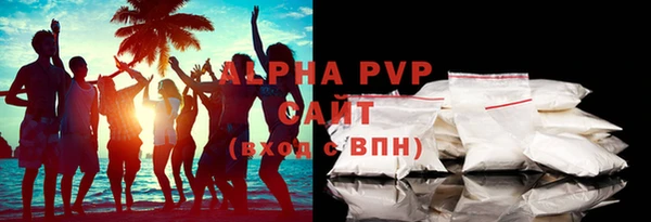 стаф Аркадак