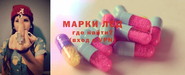 стаф Аркадак