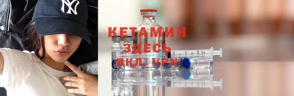 стаф Аркадак