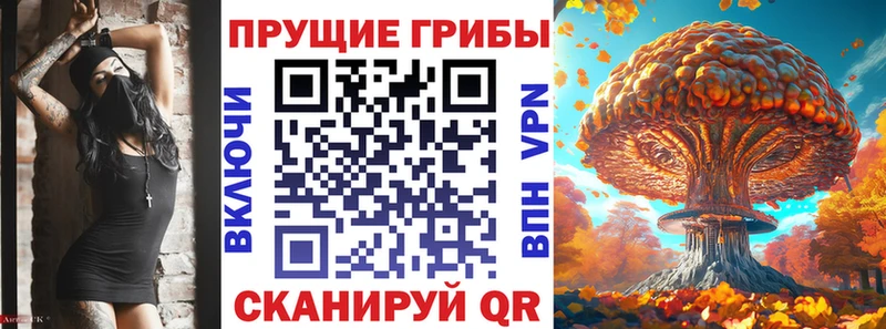 Купить где  Кувандык  Галлюциногенные грибы MAGIC MUSHROOMS 